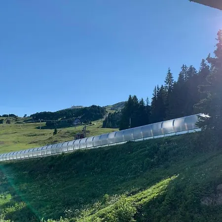 Bien D'exception Aux Pieds Des Pistes 1750 Roche B *