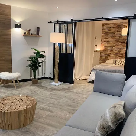 Bien D'exception Aux Pieds Des Pistes 1750 Roche B Apartment *
