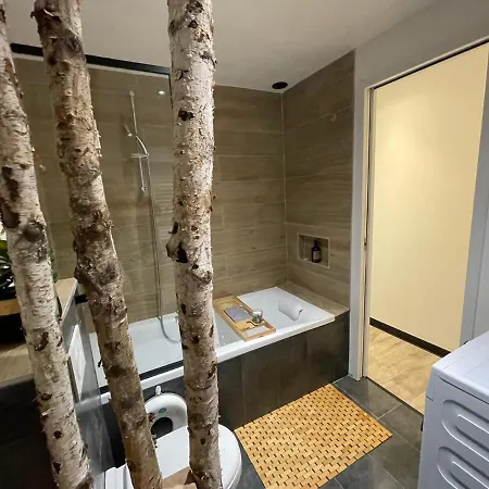 Apartment Bien D'exception Aux Pieds Des Pistes 1750 Roche B *